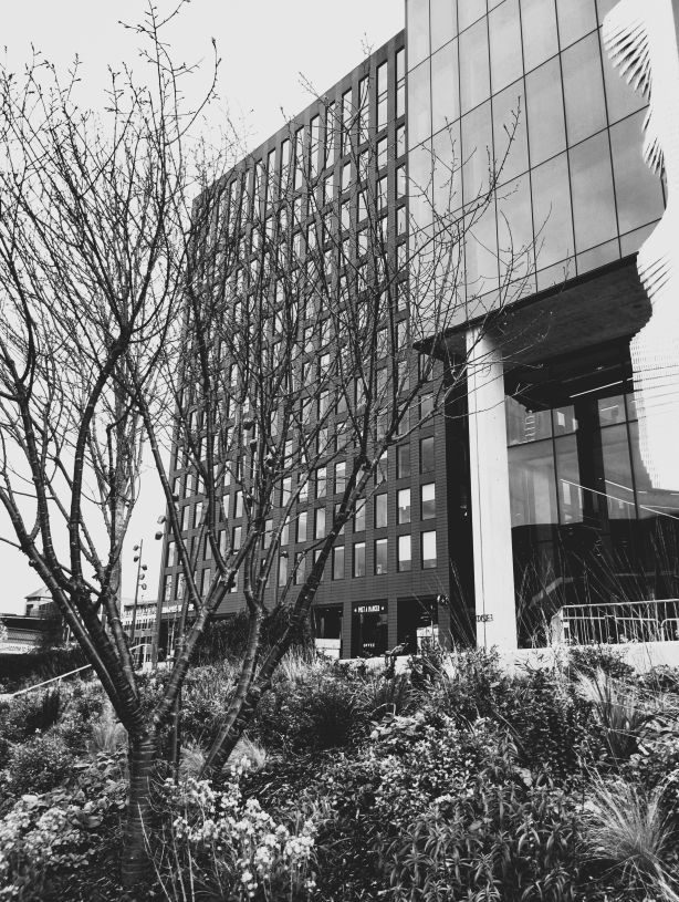 Office building of circa 15 storeys with landscaping in foreground